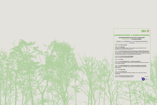 Program for konferencen