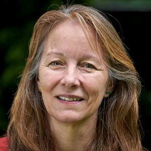 Kommissionen, forskeren og praktikerne om unge uden job og uddannelse