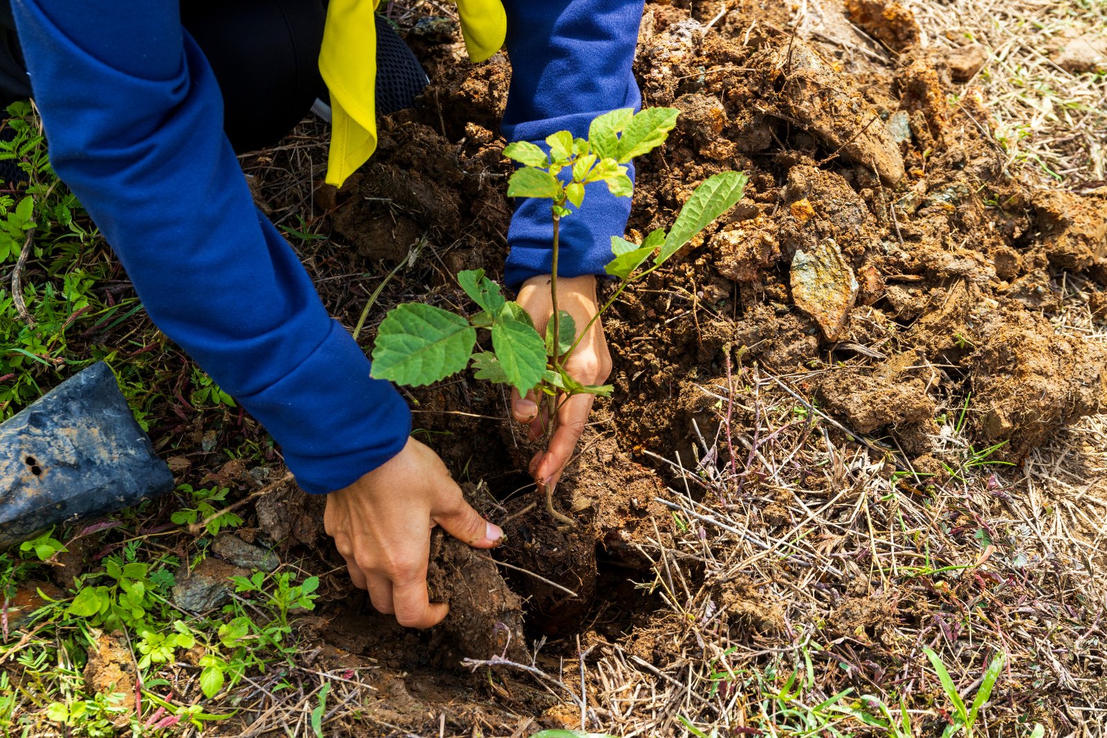 Insektoptog og smørrebrød: Seks grønne projekter får støtte
