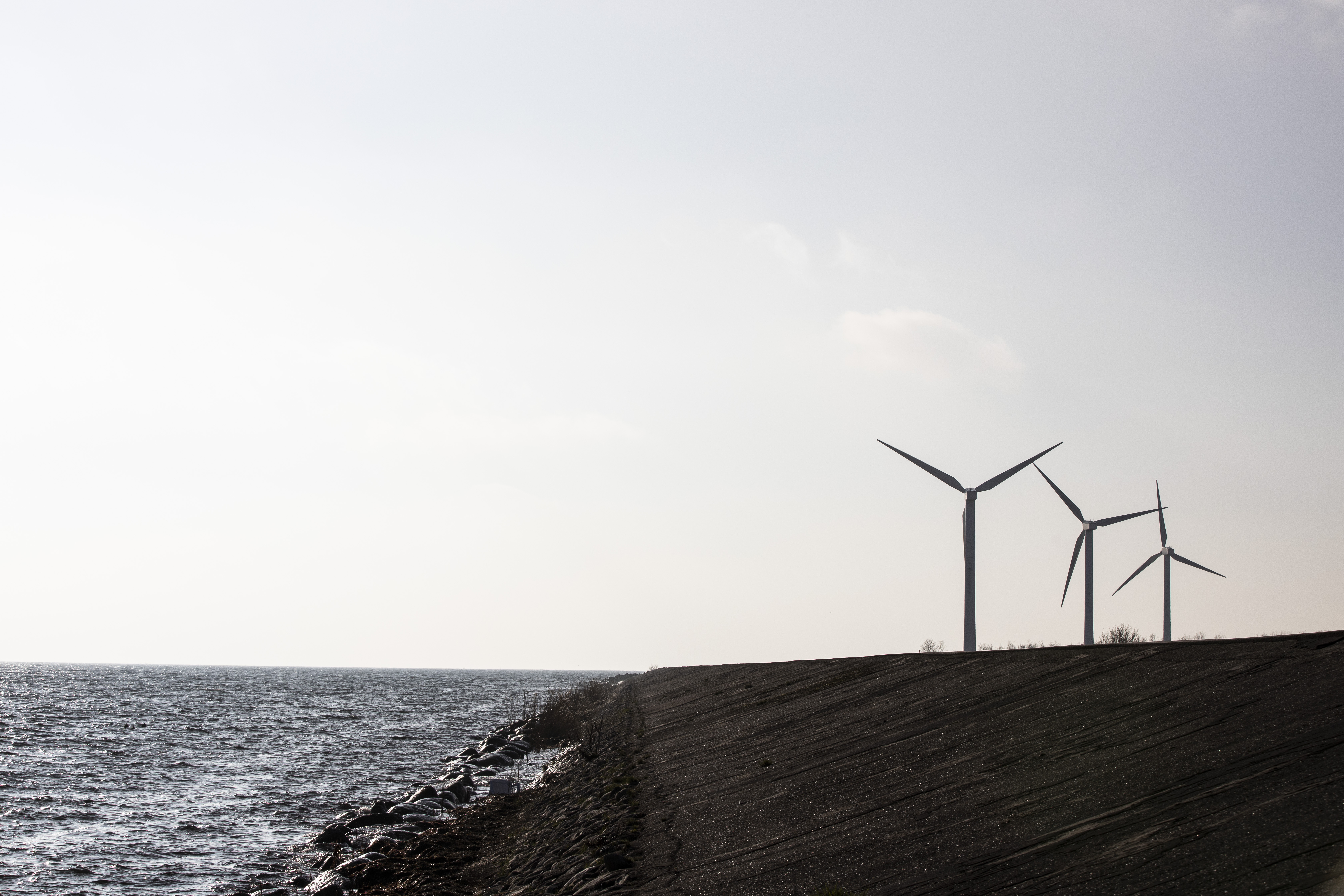 Bæredygtighedsnetværk