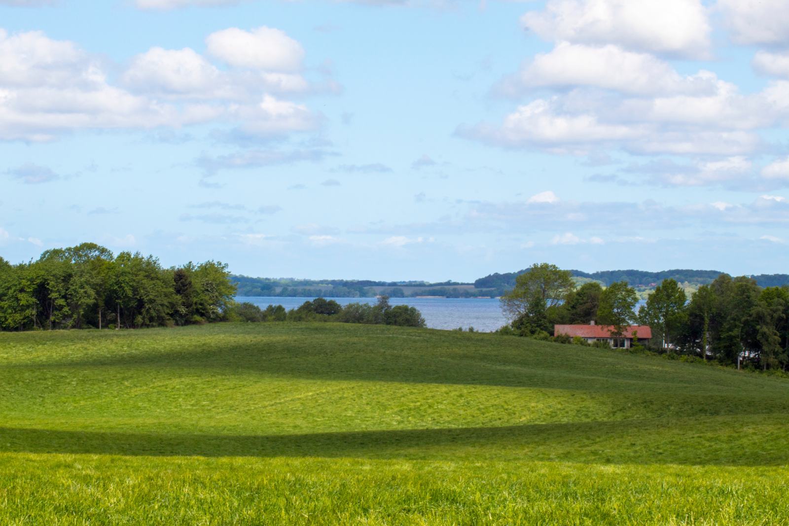 Dansk sommerlandskab